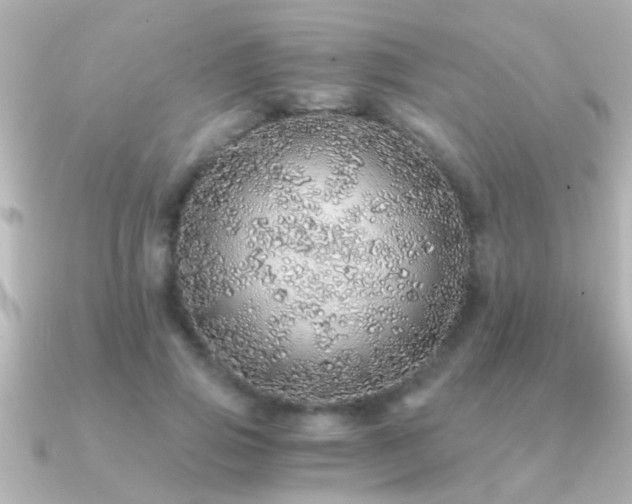 X0000091180741200708091222