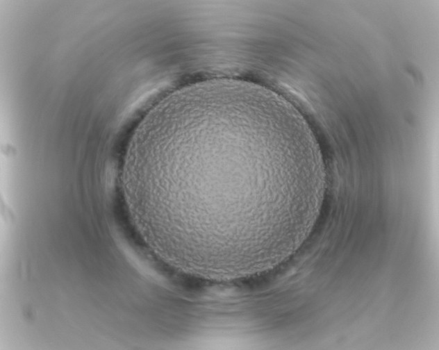 X0000091180742200708091222