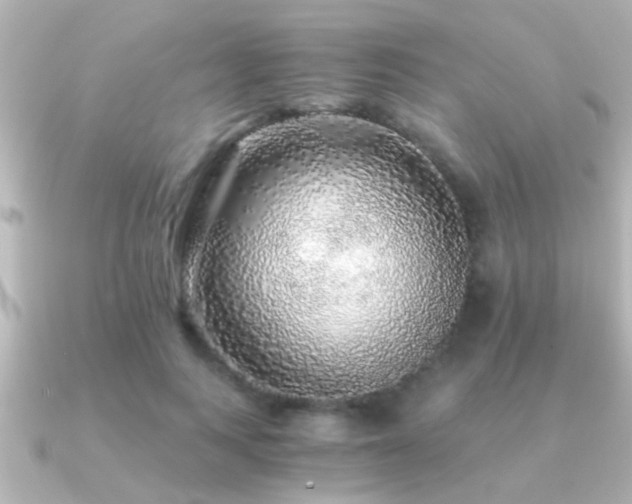 X0000091180743200708091222