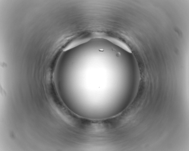 X0000091180744200708091222