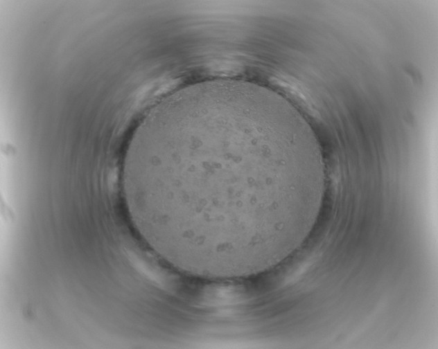 X0000091180745200708091222