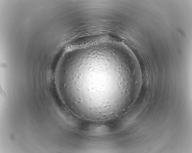 X0000091180747200708091222
