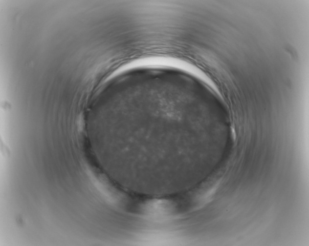 X0000091180748200708091222