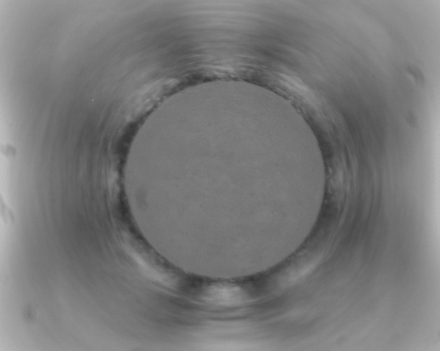 X0000091180749200708091222