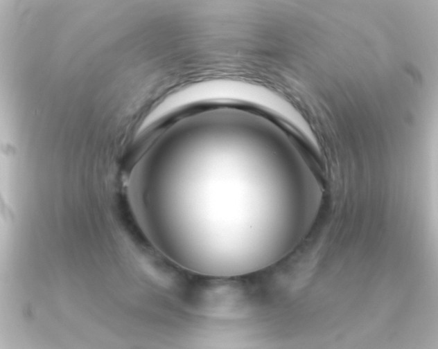 X0000091180750200708091222