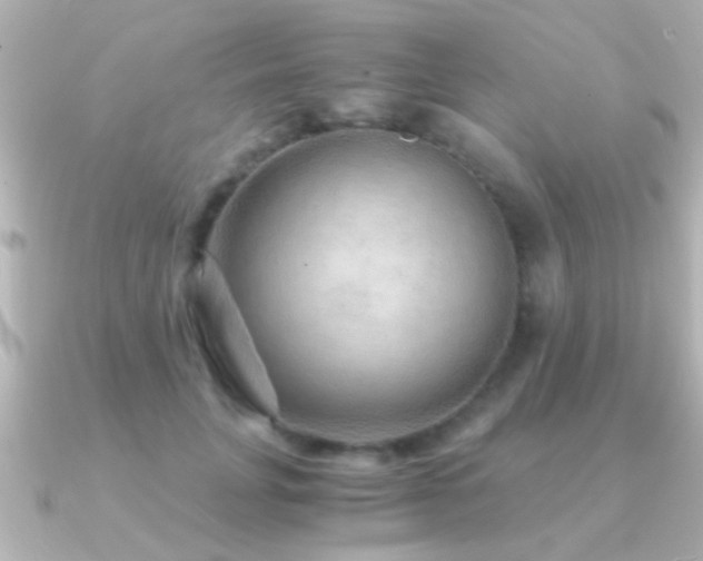 X0000091180751200708091222