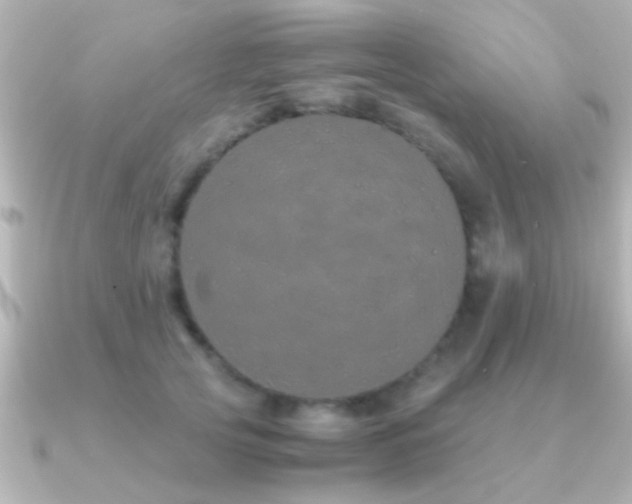X0000091180753200708091222