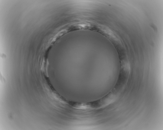X0000091180754200708091222