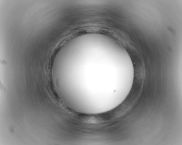 X0000091180755200708091222