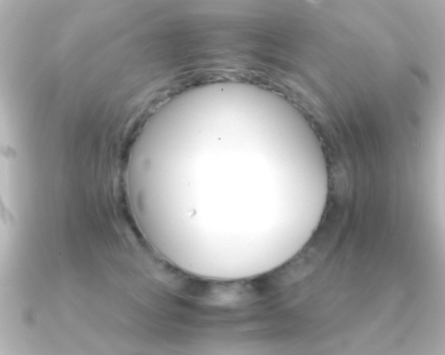 X0000091180757200708091222