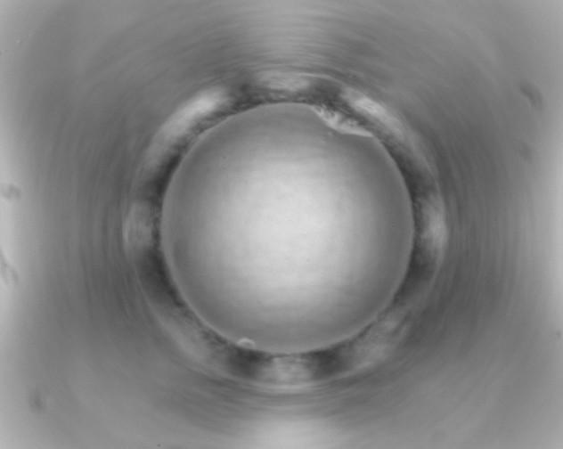 X0000091180758200708091222