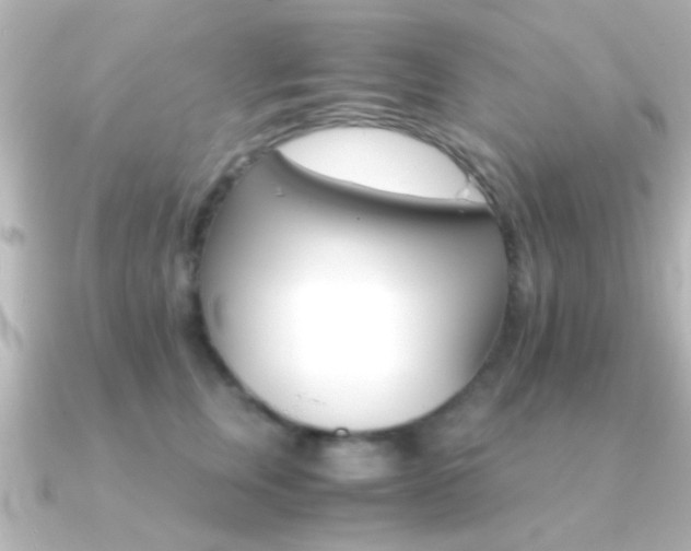 X0000091180759200708091222