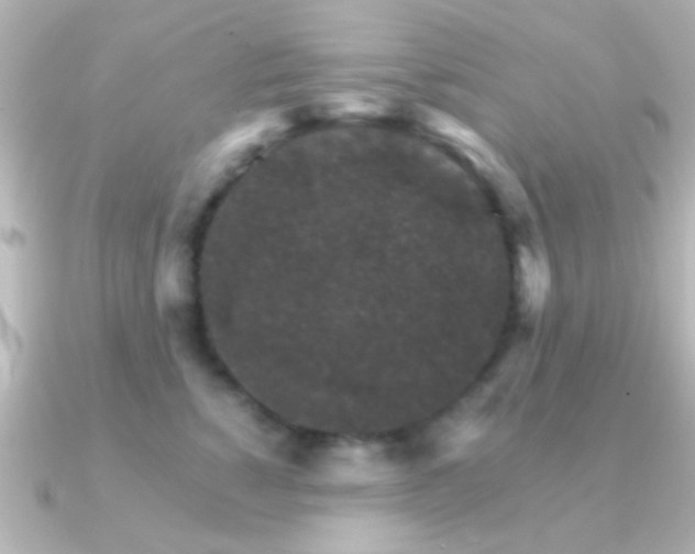 X0000091180760200708091222