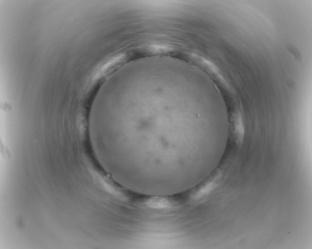 X0000091180762200708091222