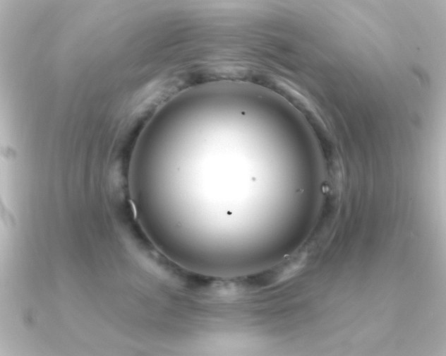 X0000091180764200708091222