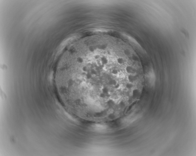 X0000091180765200708091222