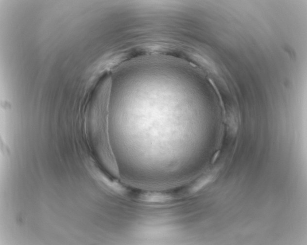 X0000091180766200708091222