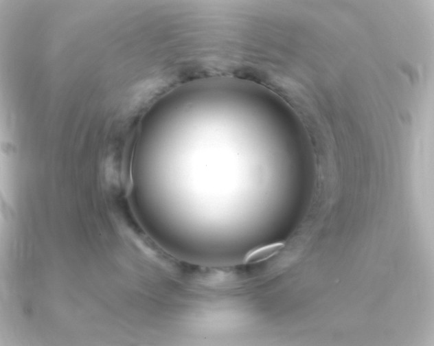 X0000091180768200708091222