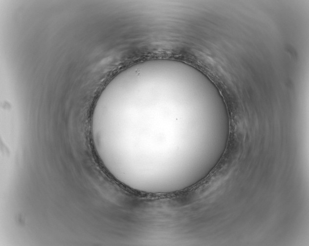 X0000091180769200708091221