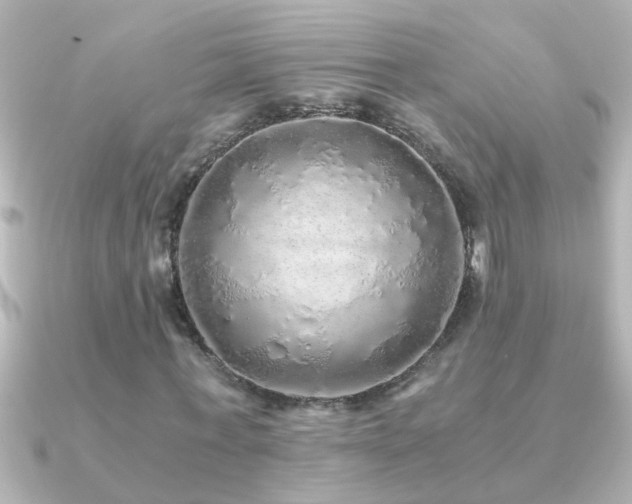 X0000091180771200708091221