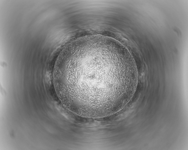 X0000091180772200708091221