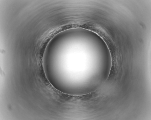 X0000091180773200708091221