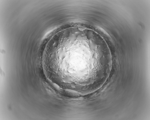 X0000091180775200708091221