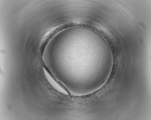 X0000091180776200708091221