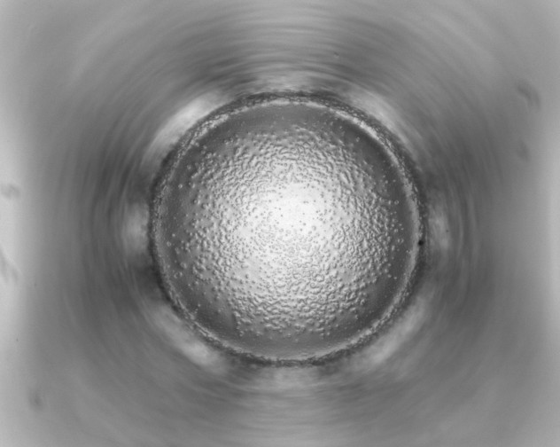 X0000091180778200708091221