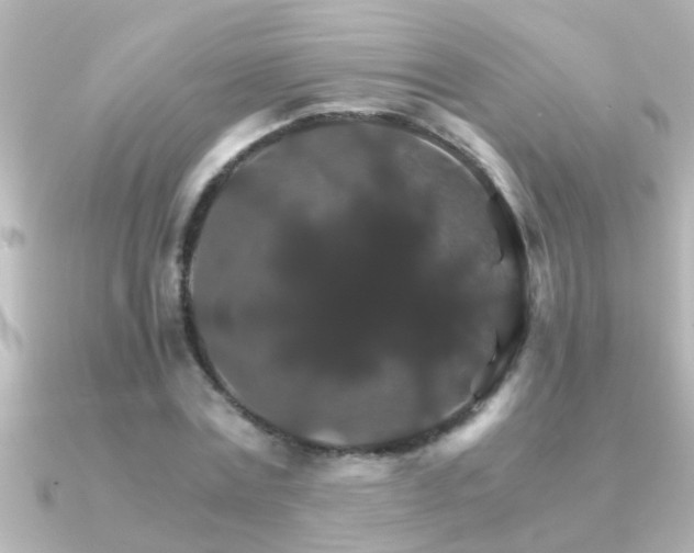 X0000091180779200708091221