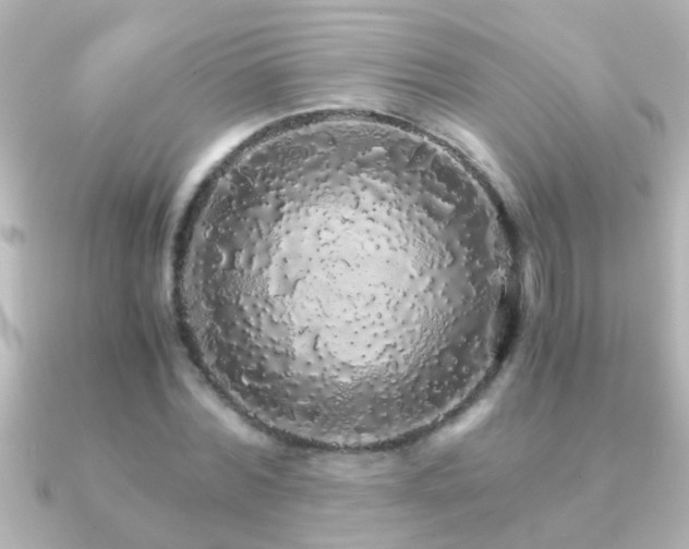 X0000091180780200708091221