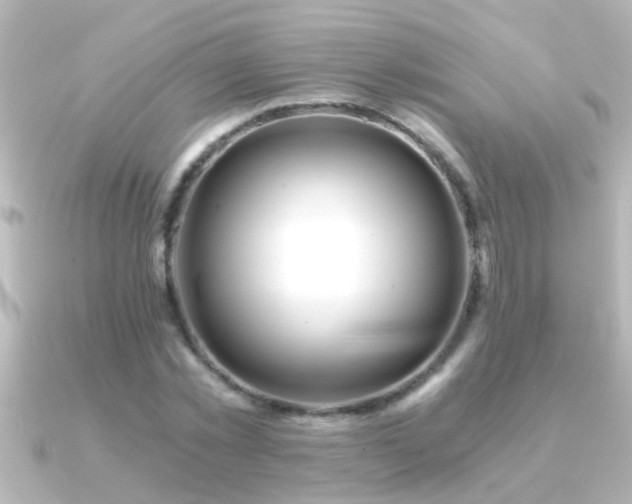 X0000091180781200708091221