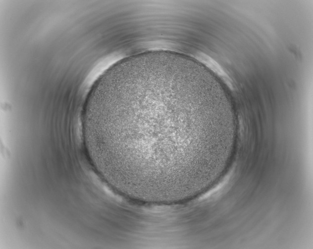 X0000091180782200708091221