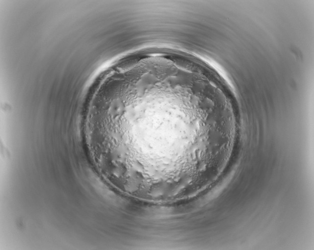 X0000091180783200708091221