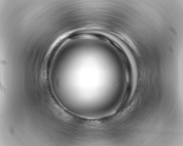 X0000091180784200708091221