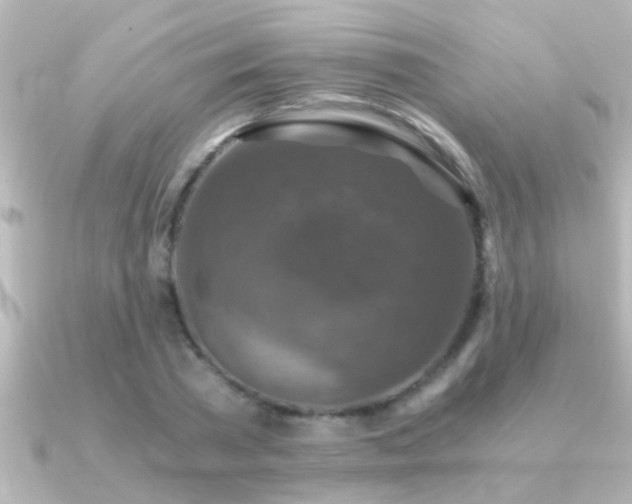 X0000091180785200708091221