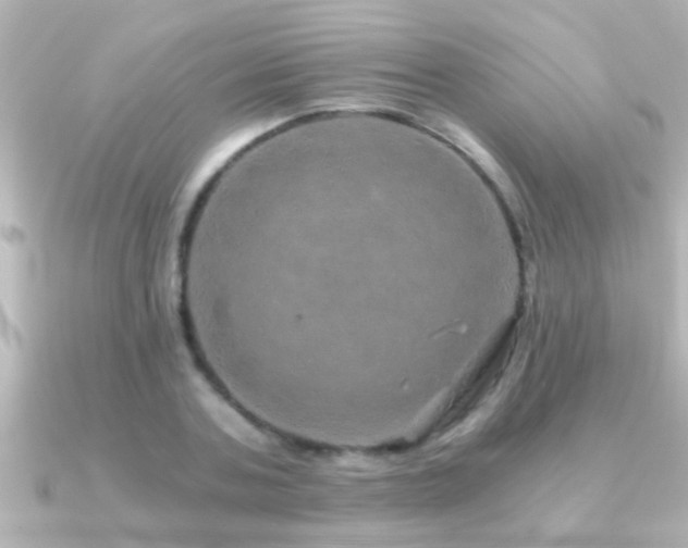 X0000091180787200708091221