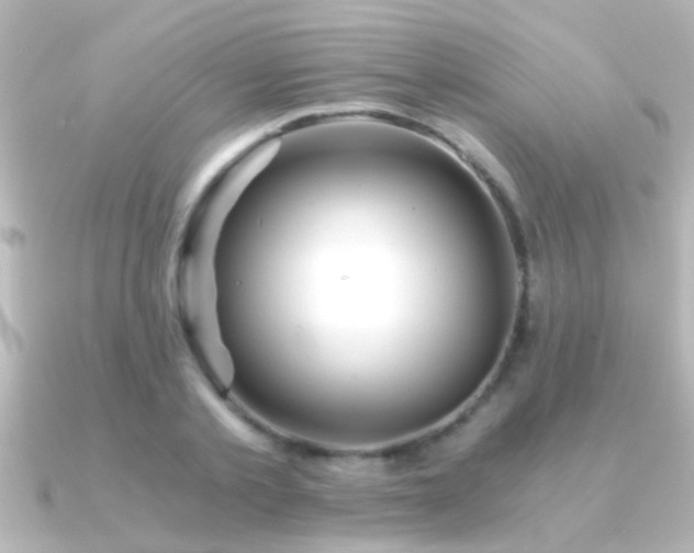 X0000091180789200708091221