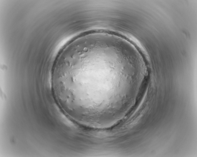 X0000091180791200708091221