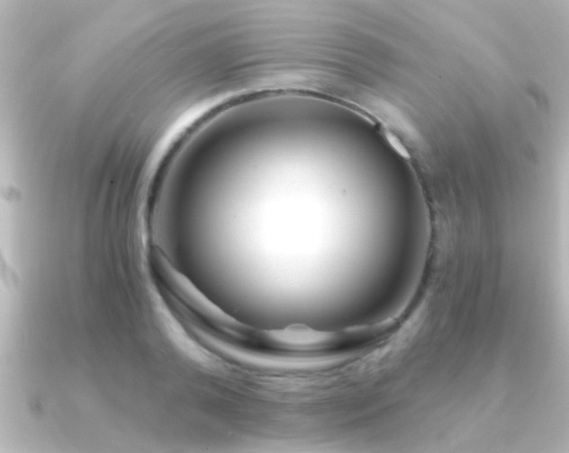X0000091180792200708091221