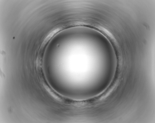 X0000091180793200708091221