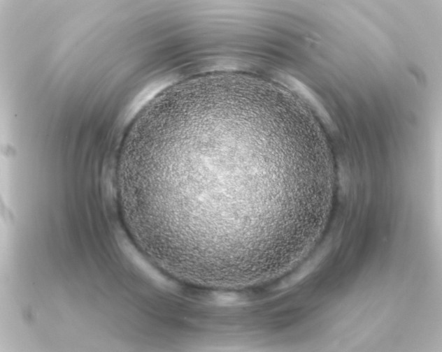 X0000091180794200708091221