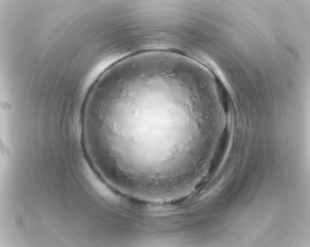 X0000091180795200708091221