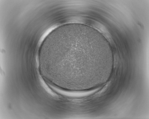 X0000091180796200708091221