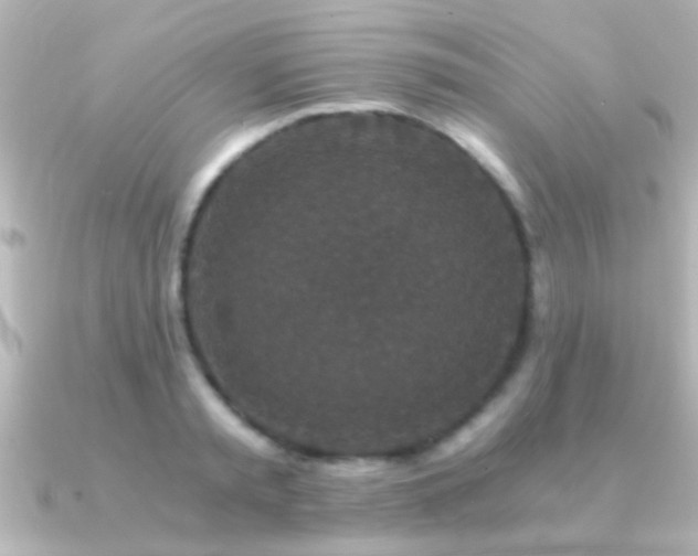 X0000091180797200708091221
