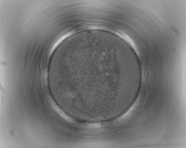 X0000091180798200708091221