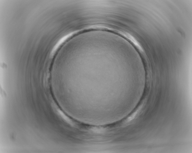 X0000091180799200708091221