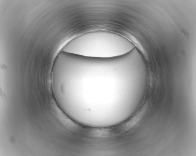 X0000091180802200708091221