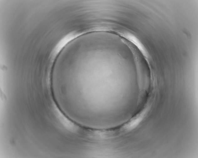 X0000091180803200708091221