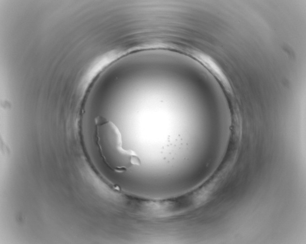 X0000091180805200708091221